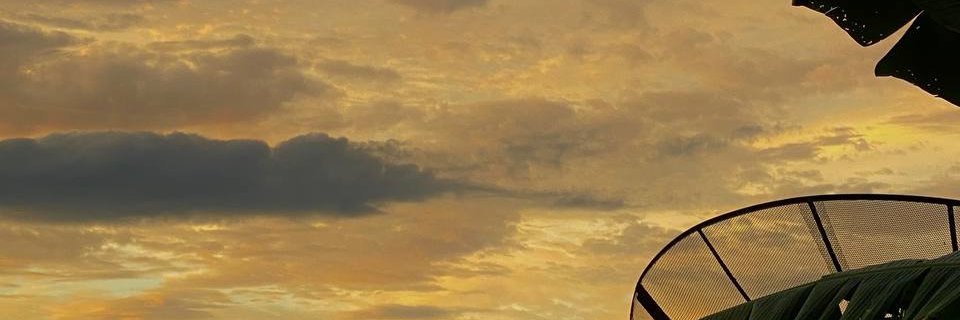 rizdei's profile banner image