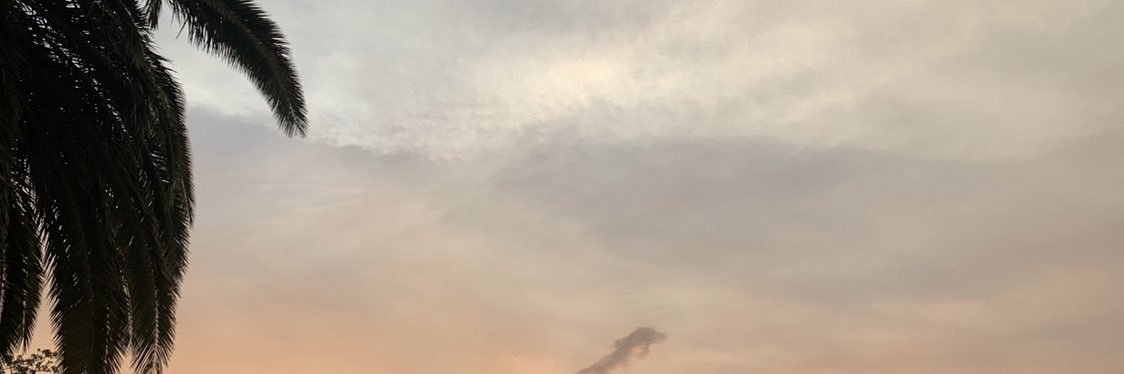 TW banner
