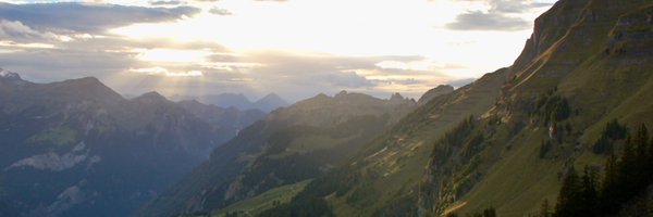 mattstewart Profile Banner