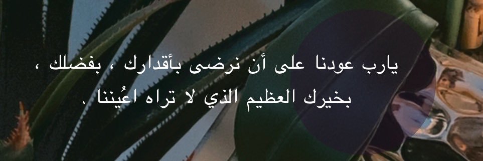 _loshaa9's profile banner image