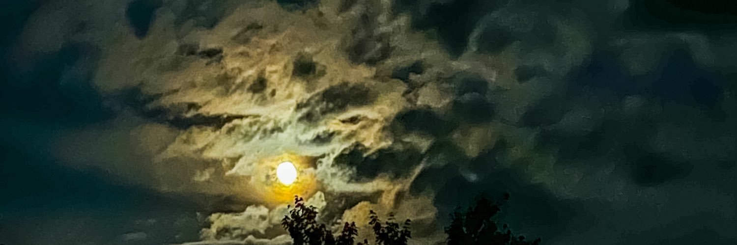 jurasick's profile banner image