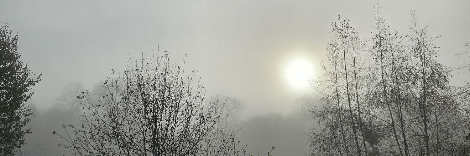 dave ⟁⟁⟁ banner