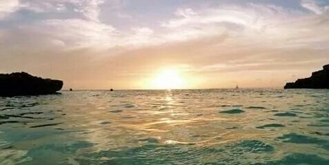 beatriz1667's profile banner image