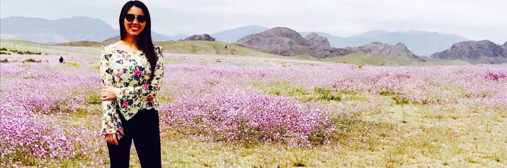 camigv28's profile banner image