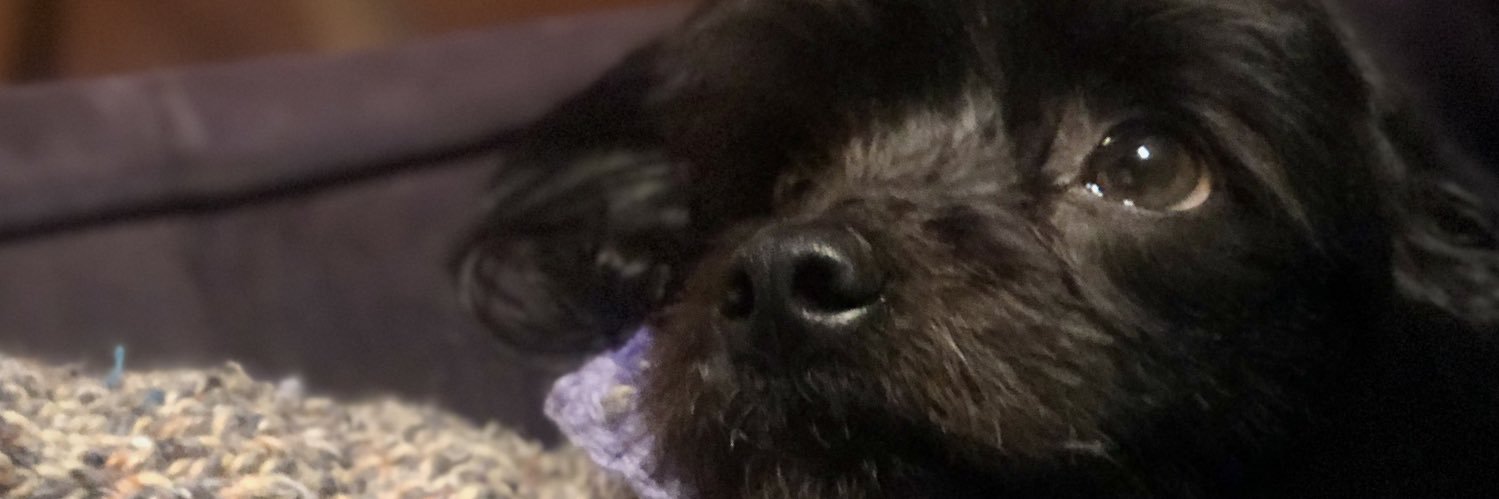 saamaster's profile banner image