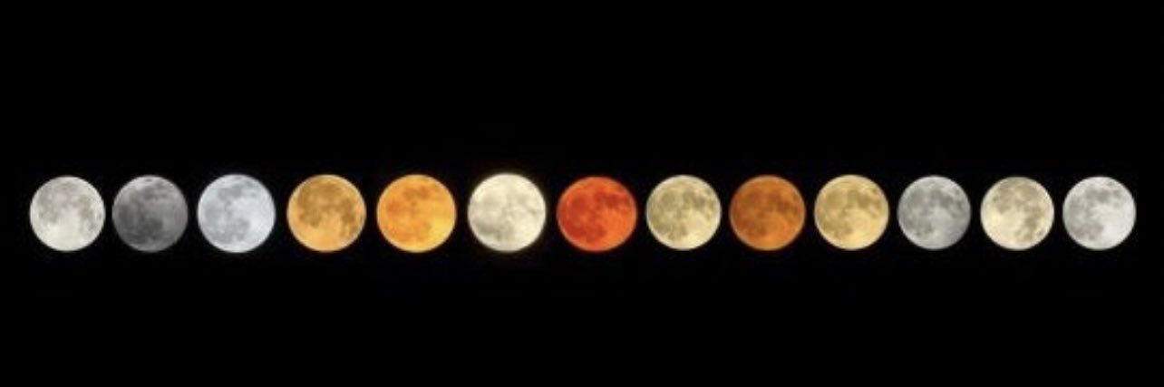 acacia markel ♠️♦️ banner