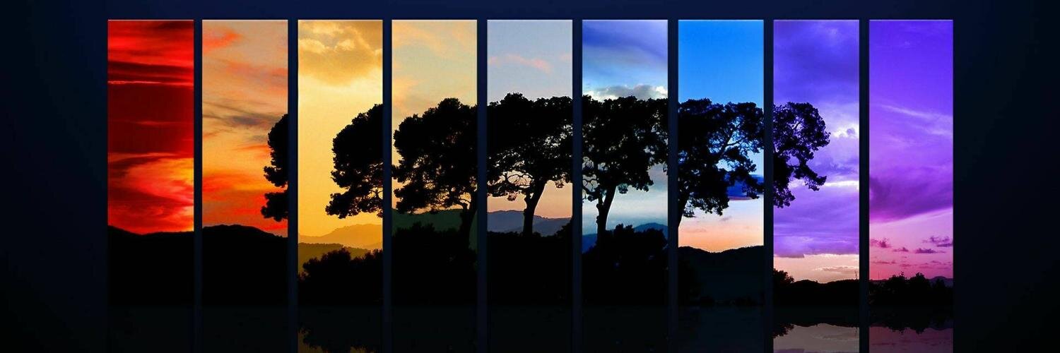 Yanglestock's profile banner image