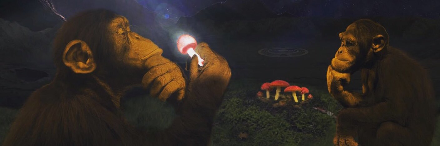 eddyelsey's profile banner image