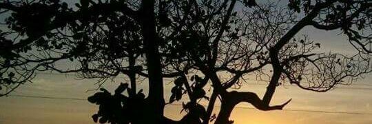 Edilson68547644's profile banner image