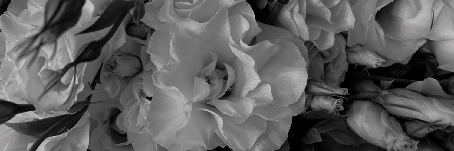 TATJANA. banner