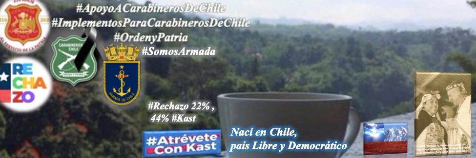 Ángels ⚖️ 🇨🇱 22%,44% ,62,%,58% #AntiComunista banner