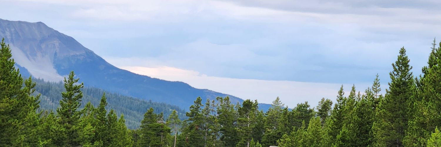 Kensey Schultz banner