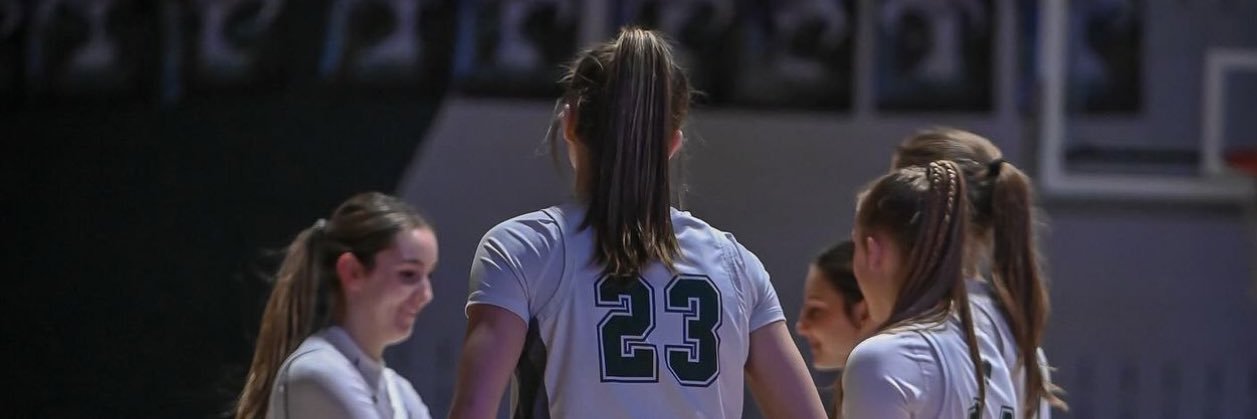 Pine-Richland Girl’s Basketball banner