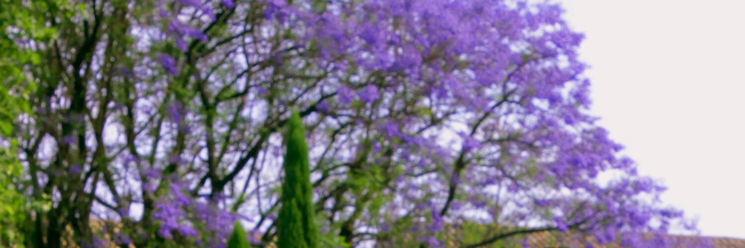 JJ_Losada's profile banner image