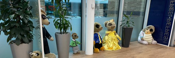 ReneeNo17 Profile Banner