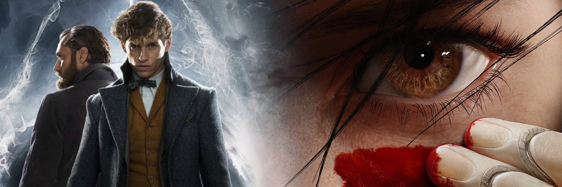 WikiFX's profile banner image