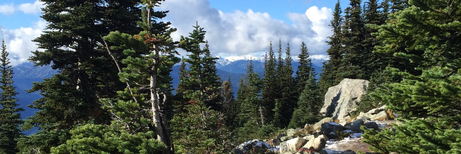 SeattleJill's profile banner image