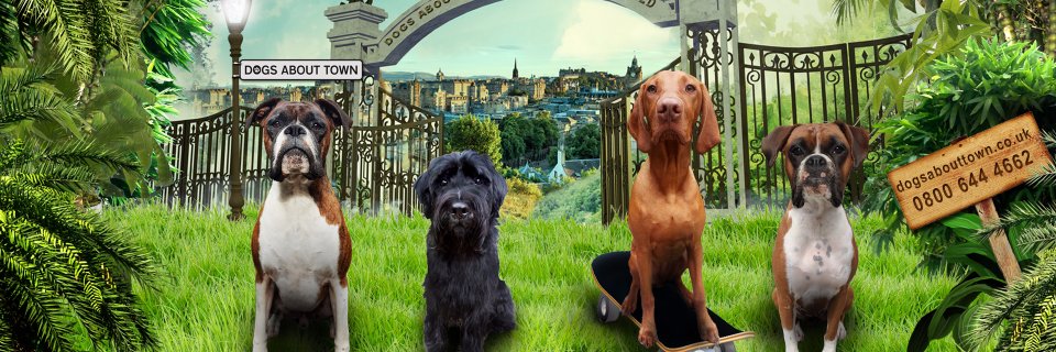 DogsAboutTownUK's profile banner image