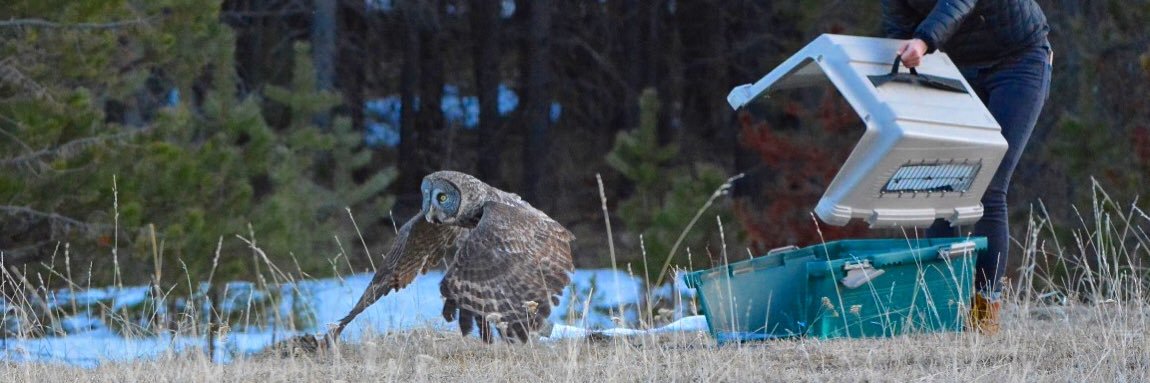 Think Wild Central Oregon banner