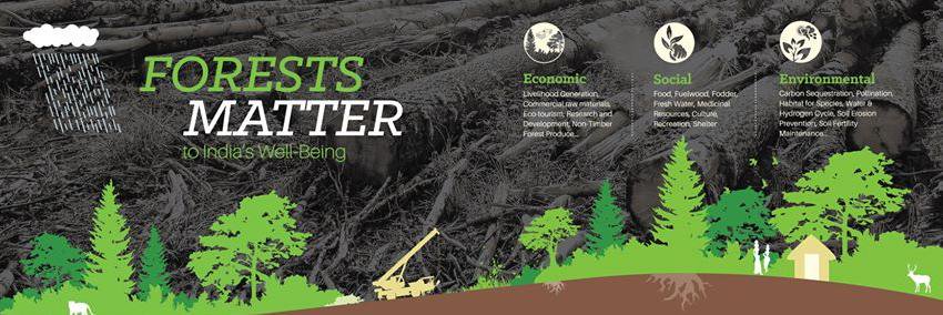 IoraEcological's profile banner image