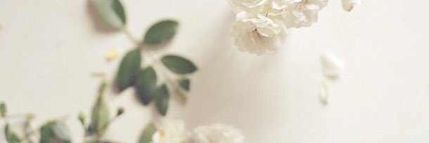roos4428's profile banner image
