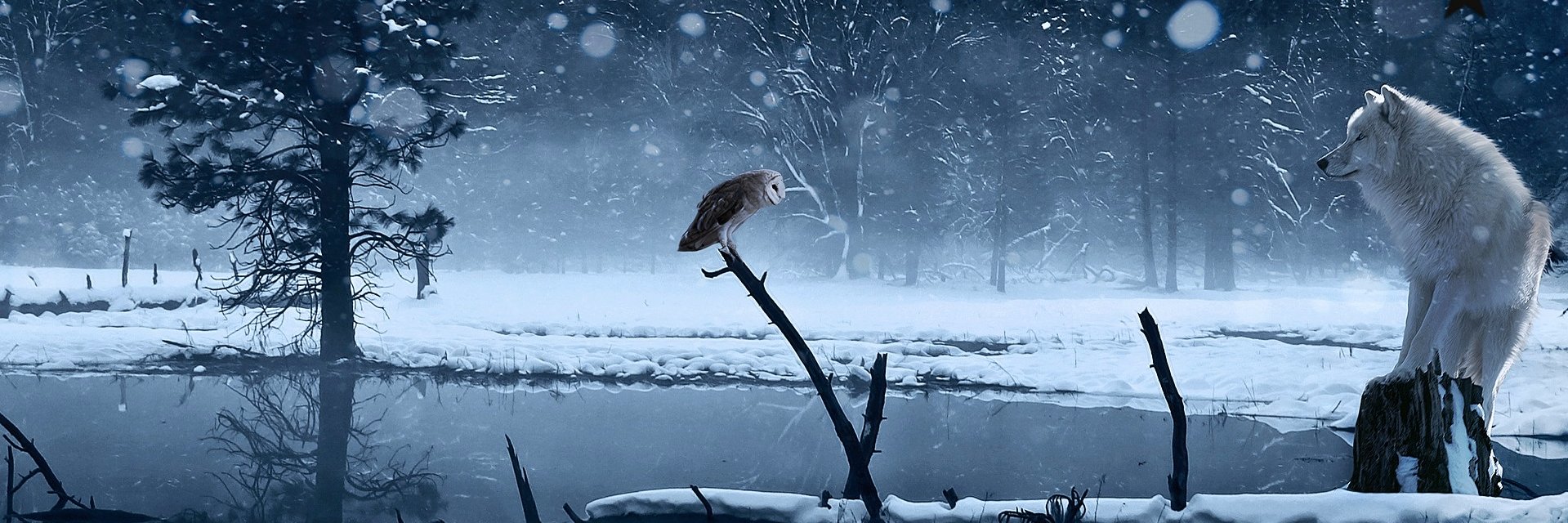 canberkkoc's profile banner image