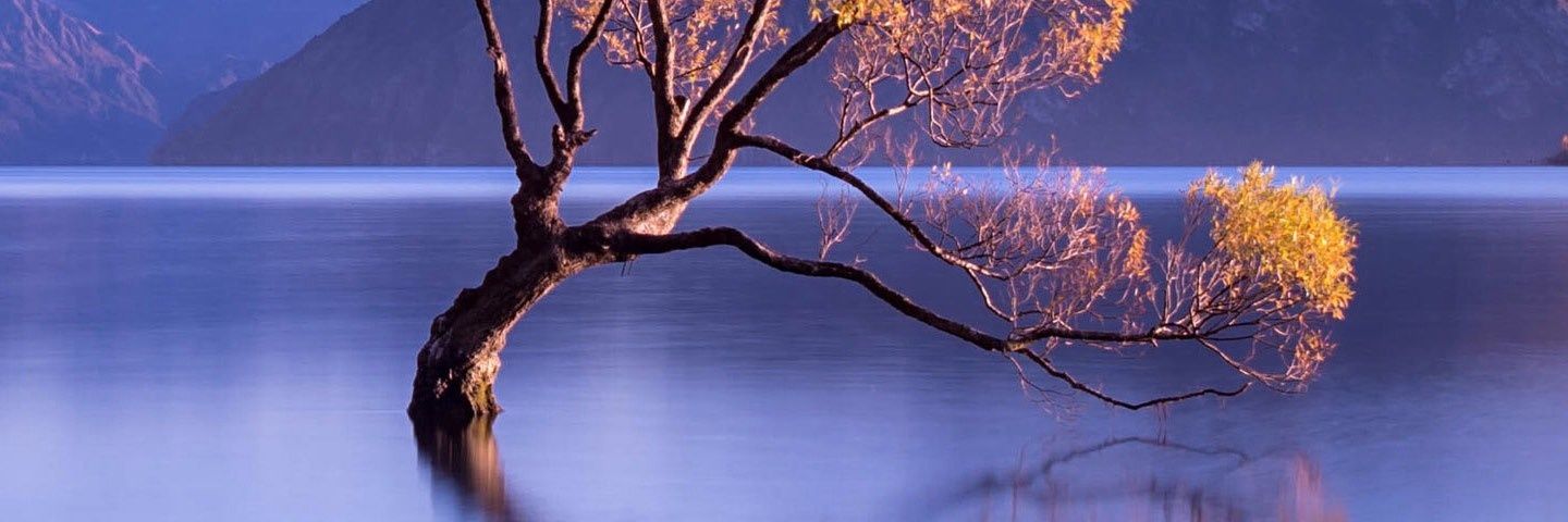hmufleh1's profile banner image