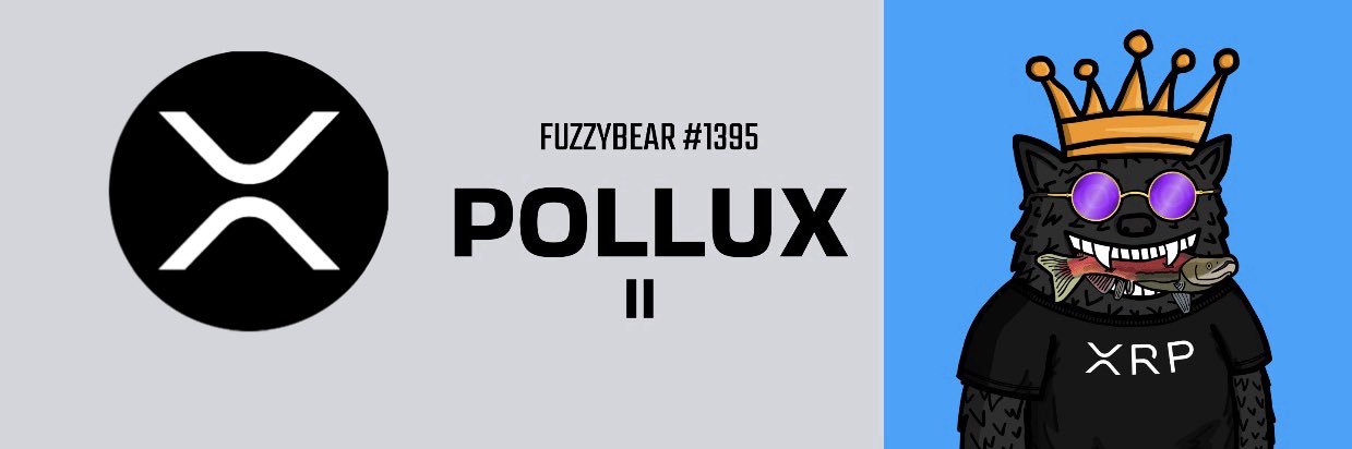 Pollux {x} 🐻🪝☀️🇺🇸 banner