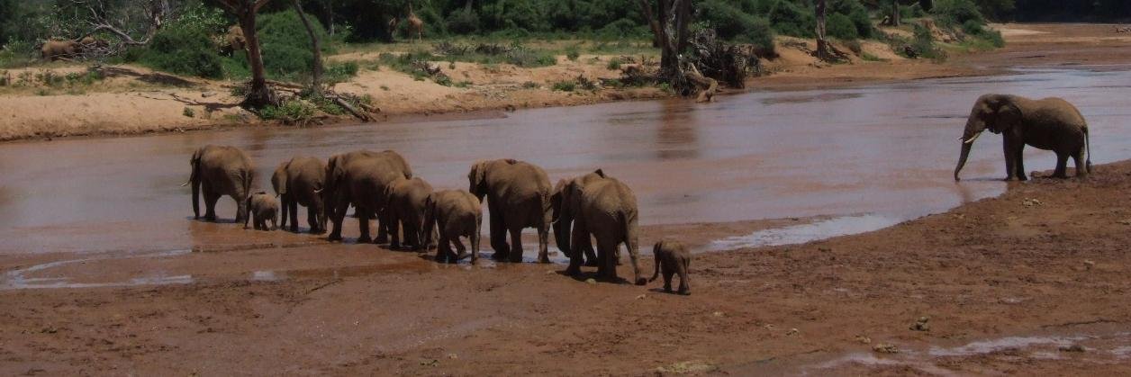 Brendan Harding banner