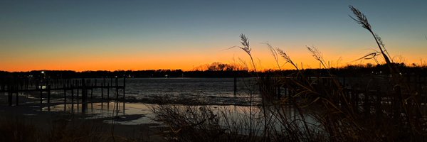 Mau_Townsend Profile Banner