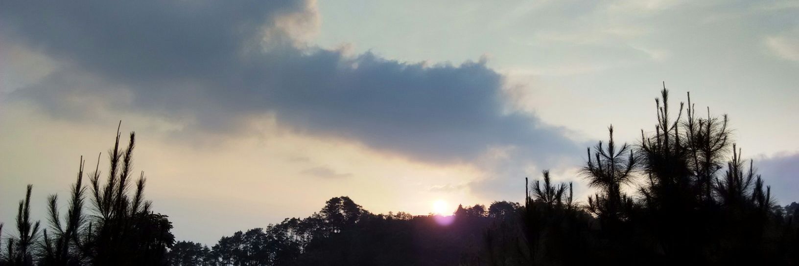 ThungSarah's profile banner image