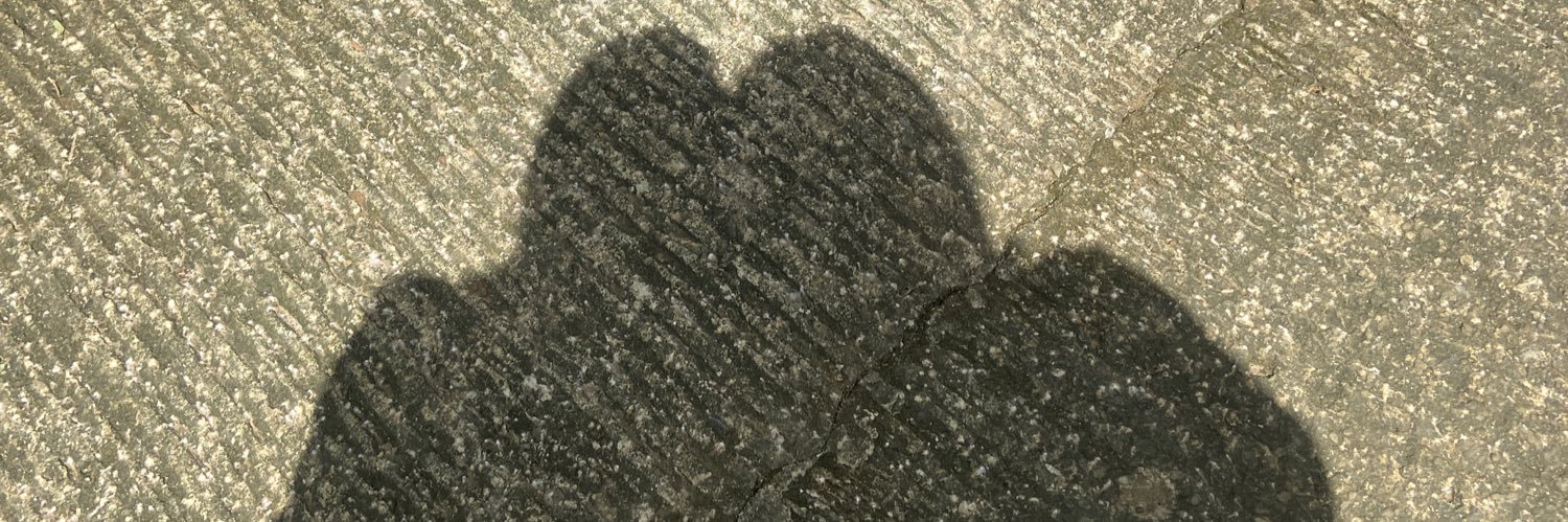 itskim's profile banner image
