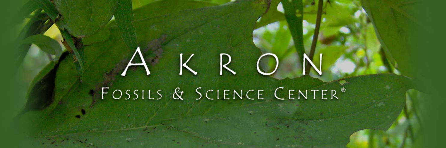 AkronFossilsCtr's profile banner image