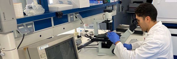 romanmarti96 Profile Banner