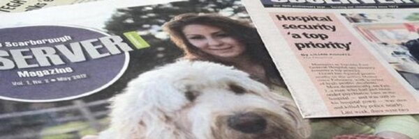 TorontoObserver Profile Banner