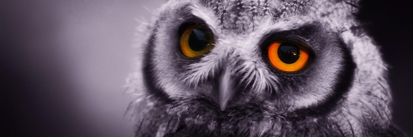 SuperIkiw's profile banner image