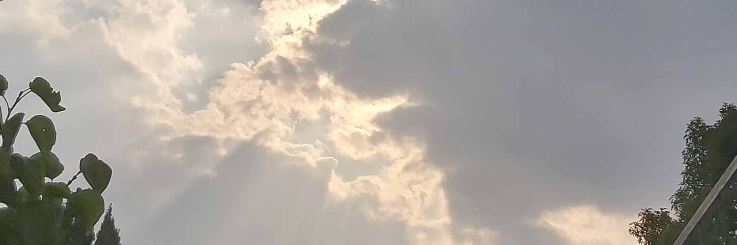 TAROLAS87's profile banner image