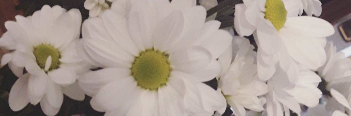 UxueCacheiro's profile banner image