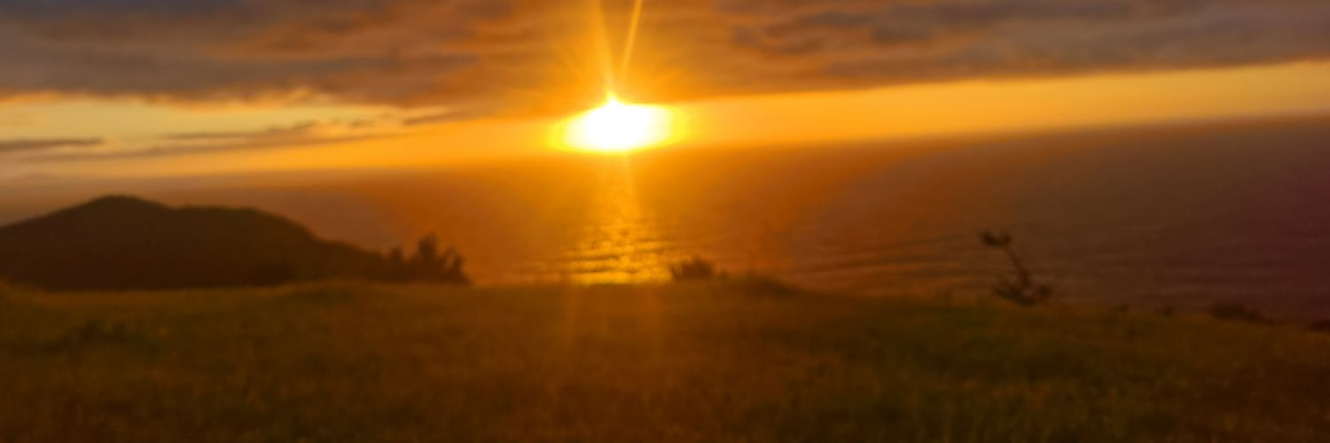 リン banner