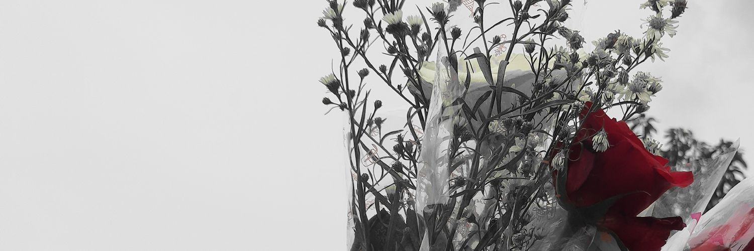 ciiicitraa's profile banner image