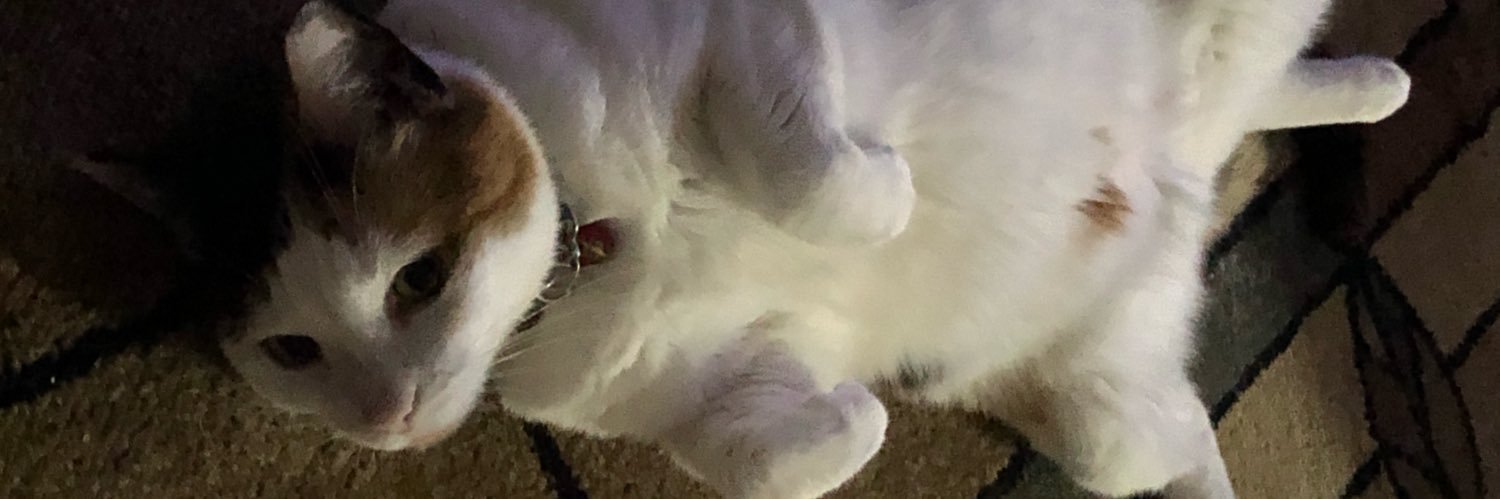 HailYeah63's profile banner image
