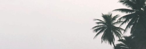 ero1na's profile banner image