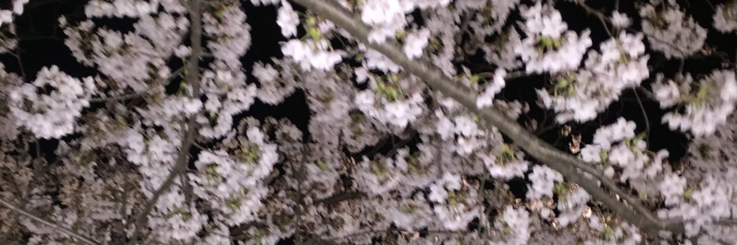 nonomonae's profile banner image