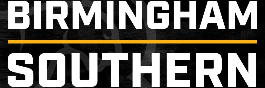 BSC Athletics banner