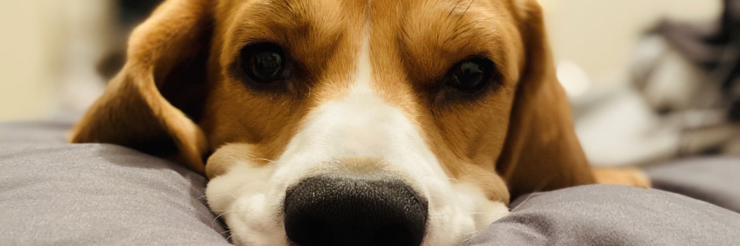 weelynngraham's profile banner image
