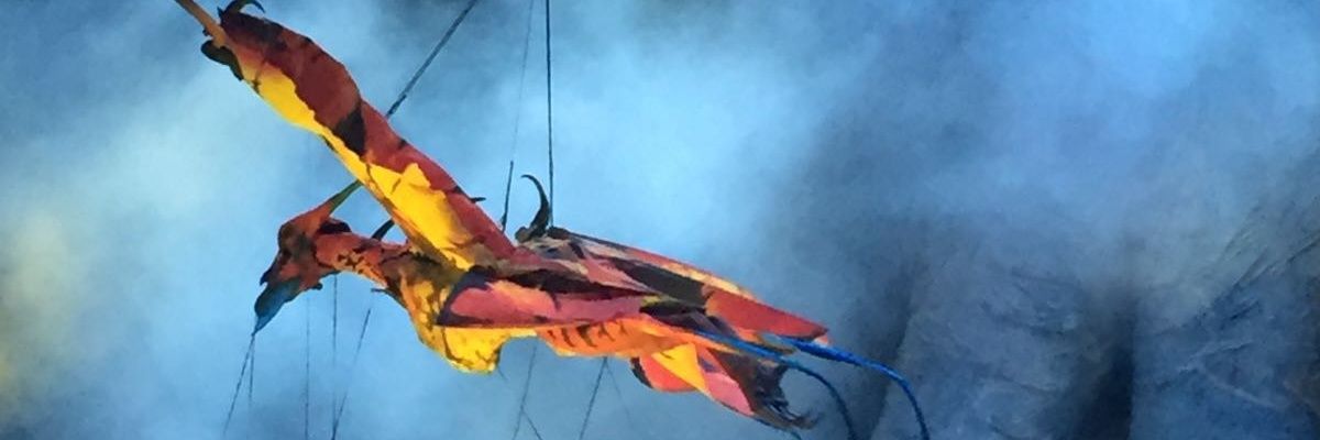 danymx24's profile banner image