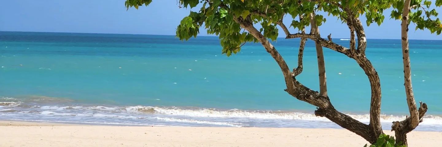 AbbyCe's profile banner image
