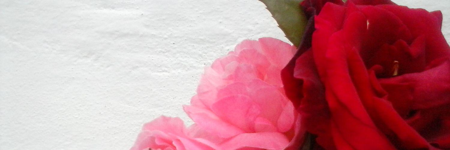 MariaRdndo's profile banner image