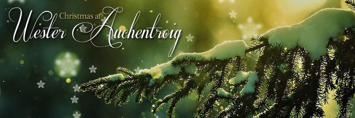 Christmas Tree Farm banner