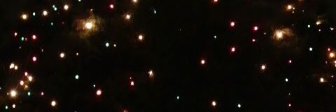 黄金の蟹座 banner